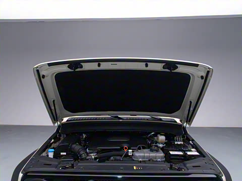 2025�� 2.0T ������