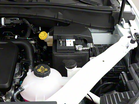 2025�� PLUS 330TGI �Զ��쳱�ǻݰ�