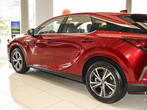 2025�� 300 ����������