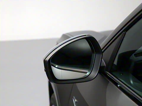 2025�� ;�� Pro 450TSI �����Ƿ��