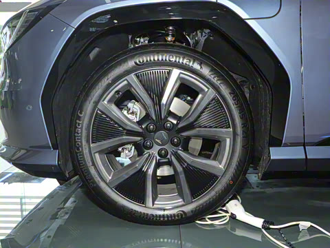 2025�� ����������Pro