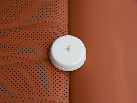 2024�� ���� 310 ����PRO��