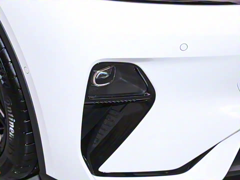 2025�� 300Max  �����Ǽ�AD PRO���̰�