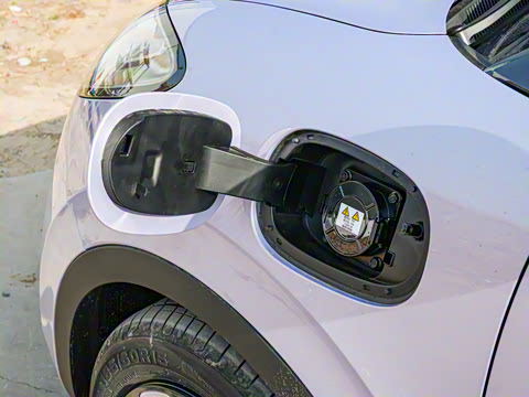 2025�� 333km ��Ϭ������