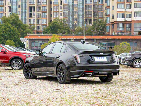 2025�� 28T �������ܰ�