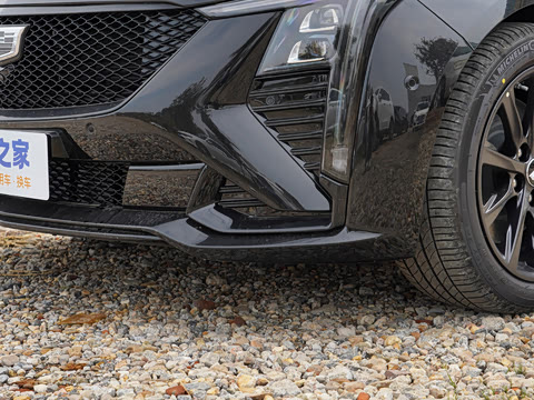 2025�� 28T �������ܰ�