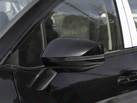 2025�� 1.5T ��������