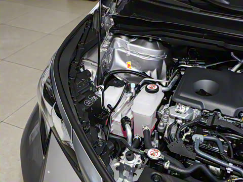 2024�� 2.5L�춯 ������