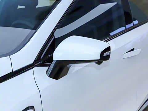 2025�� ���羭���