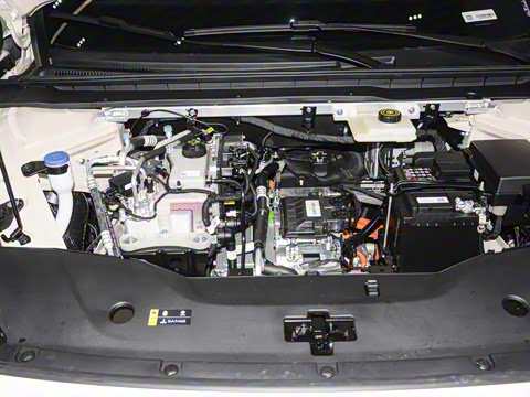 2025�� 650 ������