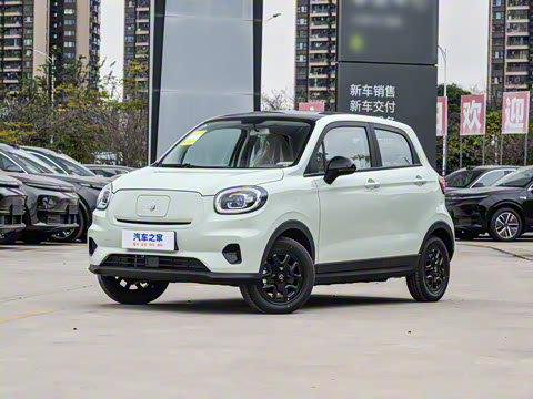 2025�� 310������