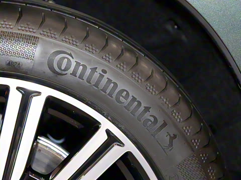 2025�� ������