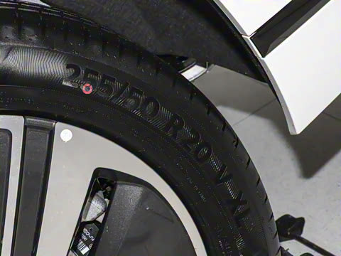 2025�� ���� Max