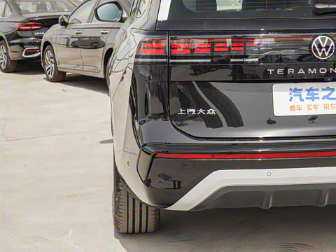 2025�� ;�� Pro 450TSI ����̽����