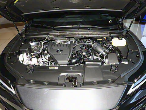 2025�� 500h ����F SPORT Performance