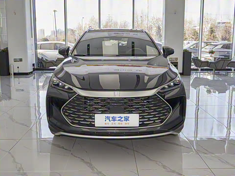 2025�� DM-i 115KM �콢��