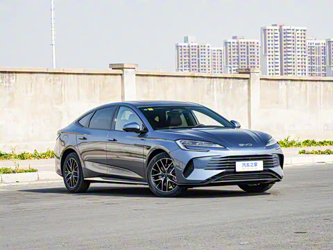 2025�� �Ǽݰ� DM-i 1.5L 125km ������