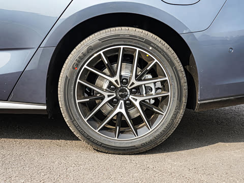 2025�� �Ǽݰ� DM-i 1.5L 125km ������