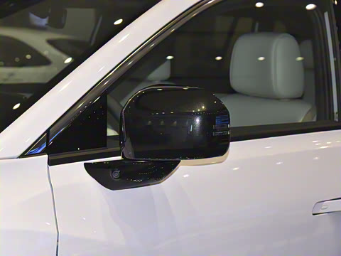 2025�� 520 Pro+ �����״��