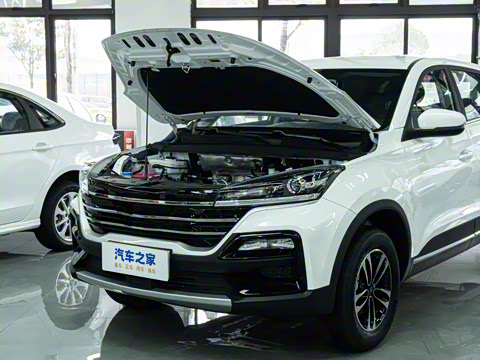 2025�� 1.5L �ֶ����ʰ�