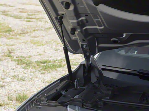 2025�� 260������������