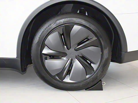 2025�� ����������