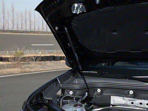 2025�� ;�� Pro 450TSI �����Ƿ��