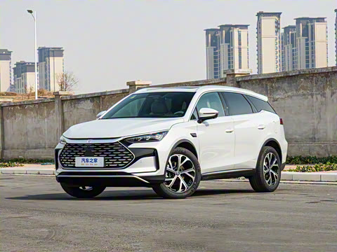 2025�� �Ǽݰ� DM-i 115KM �����