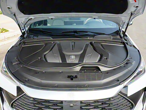 2025�� �Ǽݰ� DM-i 115KM �����