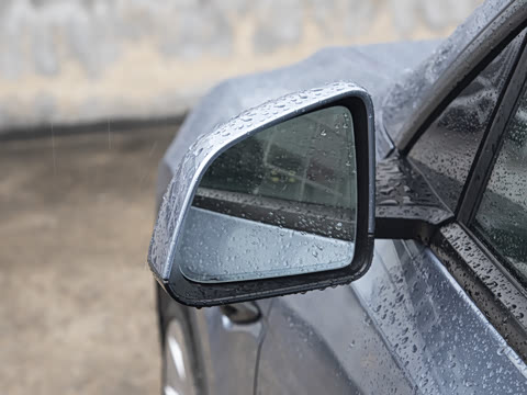 2025�� ����������