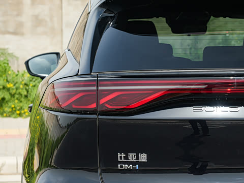 2025�� DM-i 175KM �캽��