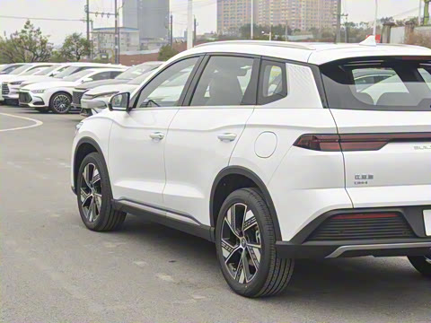 2024�� ��ҫ�� DM-i 110KM׿Խ��