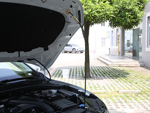 2025�� �Ŀ�� 300TSI DSG��Խ��