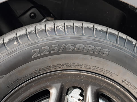 2025�� DM-i �Ǽݰ� 55KM������