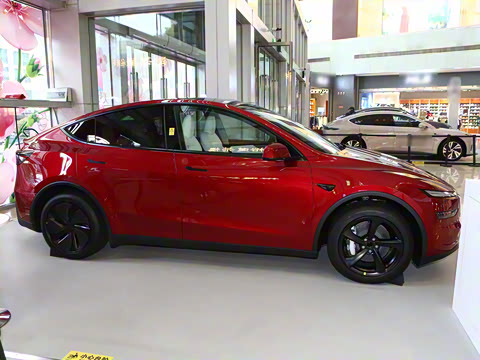 2025�� ����������