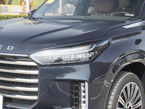 2025�� 180 ��������Max���� 7��