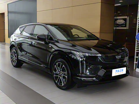 2024�� ������������