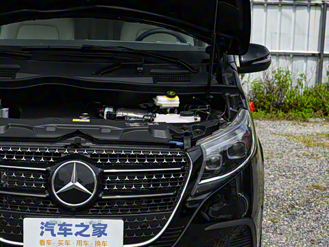 2025�� V 300 �캽��