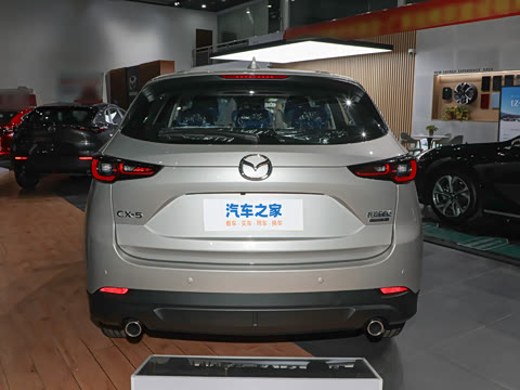 2024�� 2.0L �Զ�����������