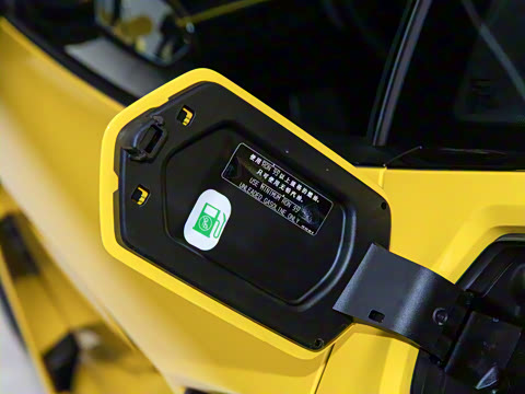 2025�� ������