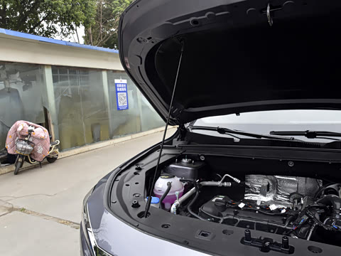 2025�� �ھ��� 1.5T �ֶ��ھ� 5��