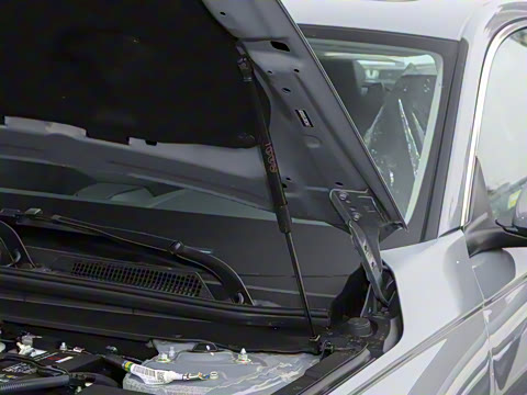 2025�� 260TURBO ��Ӣ��