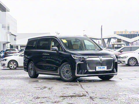 2025�� PHEV ����׿Խ������