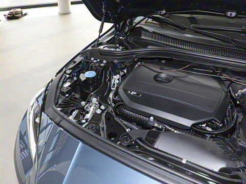 2025�� 225L M�˶���װ