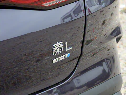 2025�� DM-i �Ǽݰ� 80KM������