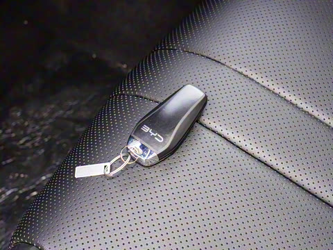 2025�� DM-i �Ǽݰ� 115KM������