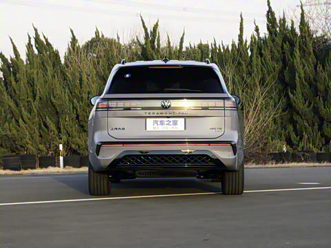 2025�� ;�� Pro 450TSI �����Ƿ��