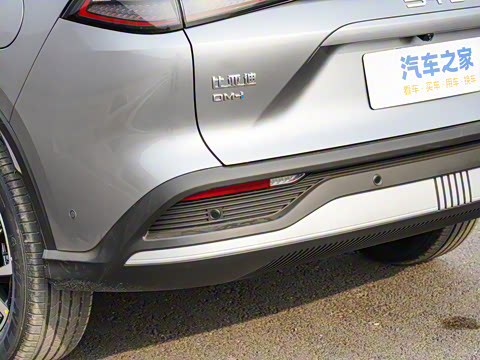 2025�� DM-i �Ǽݰ� 115KM������