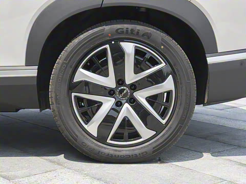 2025�� 135 �����ܼ����״��