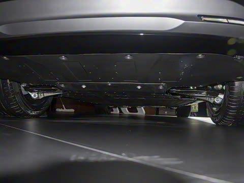 2025�� 725 �������� Max �콢��